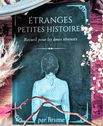 Étranges petites histoires – Recueil de Brume
