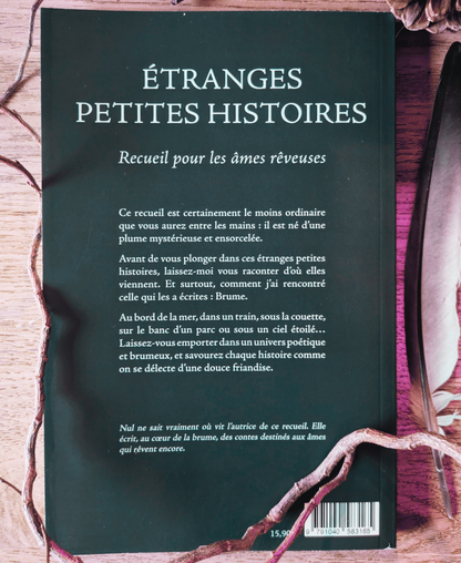 Étranges petites histoires – Recueil de Brume