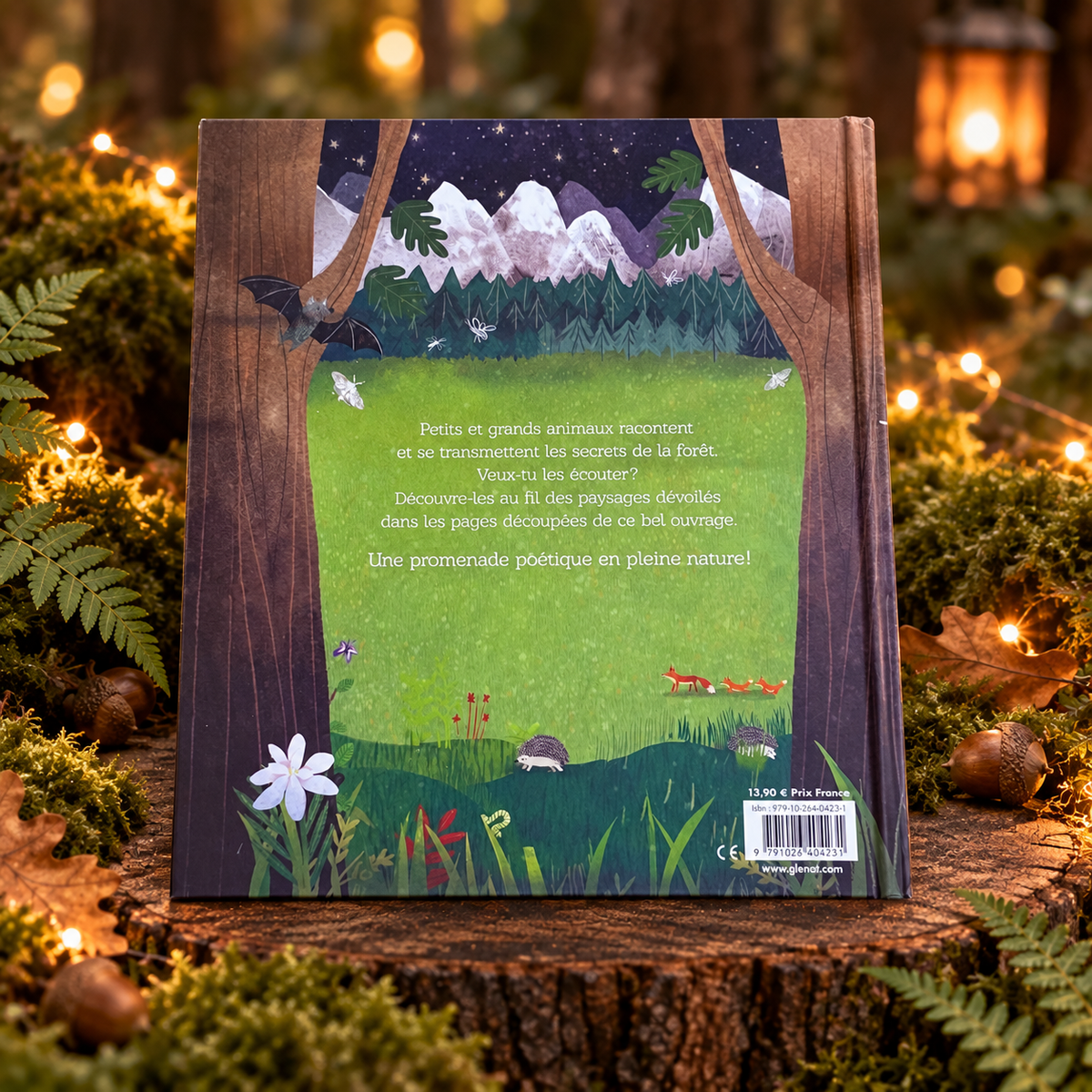 Les Secrets de la forêt – quatrième de couverture dans un décor forestier enchanteur